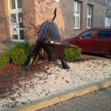 Býk je dielom Pavla Dubinu