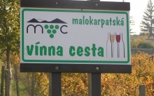 Vinári už dnes otvoria svoje pivnice