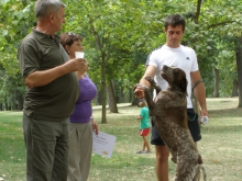 Zákonný guláš vo venčení psov v Malackách