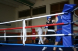 BOX: Amateur Boxing Club Malacky v prvej súťaži