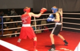 V nitrianskom ringu sa začala boxerská sezóna