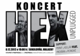 HEX unplugged koncert v Sokolovni