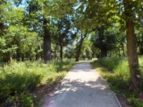 Zámocký park - história a budúcnosť
